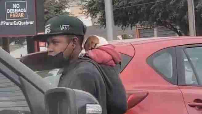 El joven limpiaparabrisas con su perro a cuestas que se ha convertido en fenómeno viral